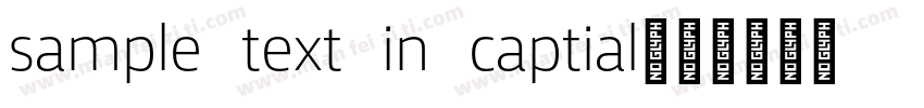 sample text in captial字体转换